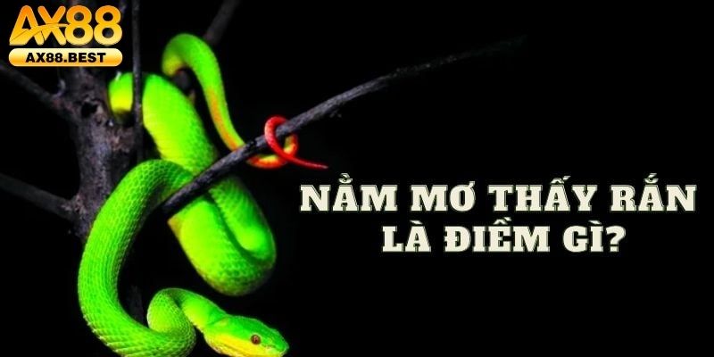 Mơ thấy rắn